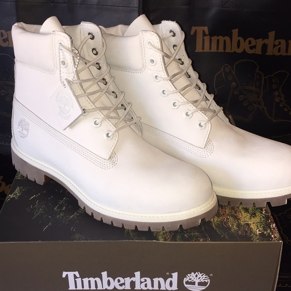 vaporous grey timberlands